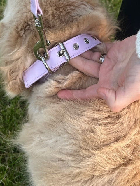 Puppibles Vegan Leather Lavender Dog Collar