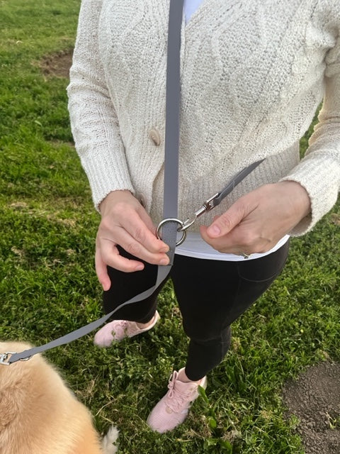Puppibles Multi-functional Grey Dog Leash