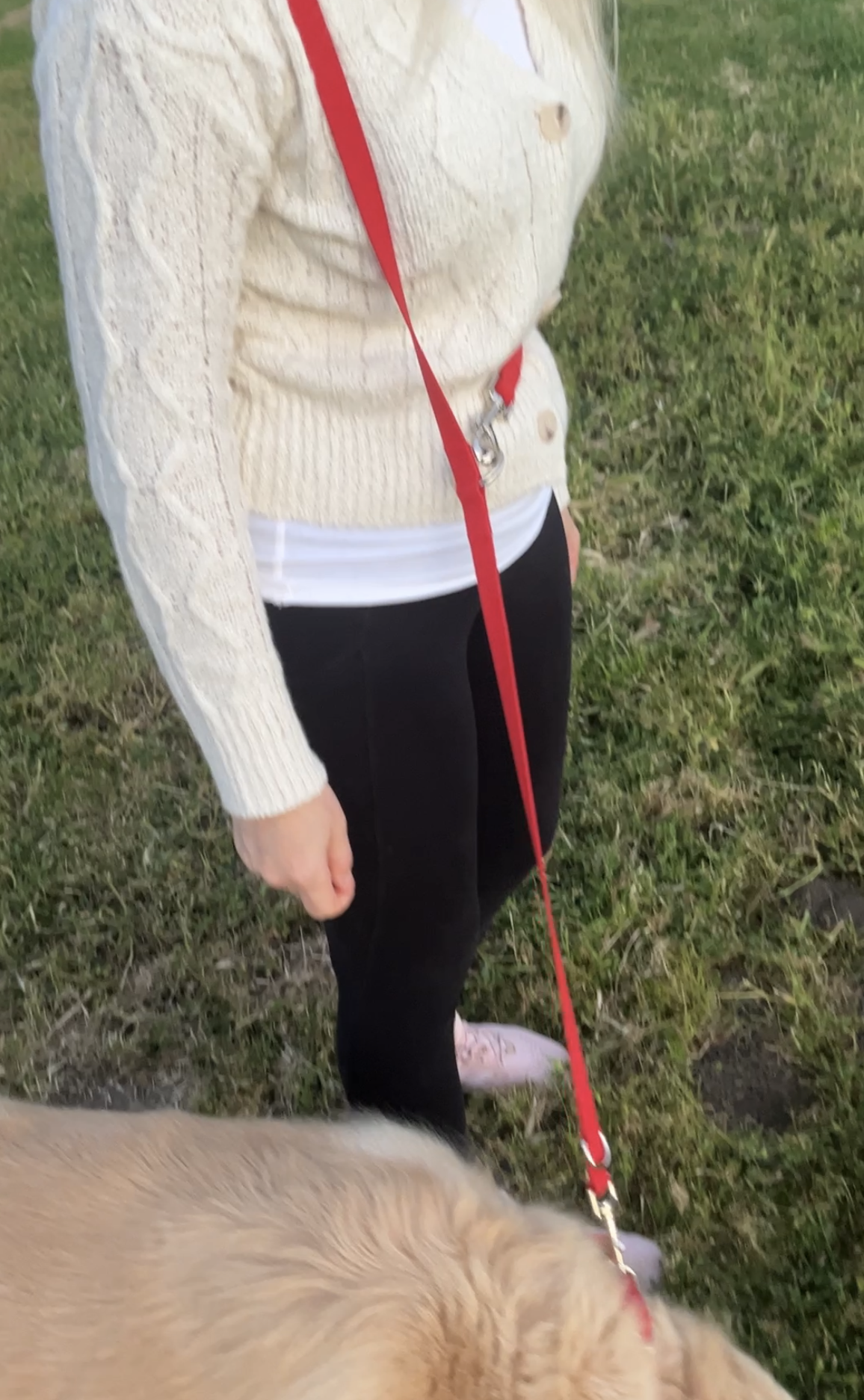 Puppibles Multi-functional Red Dog Leash