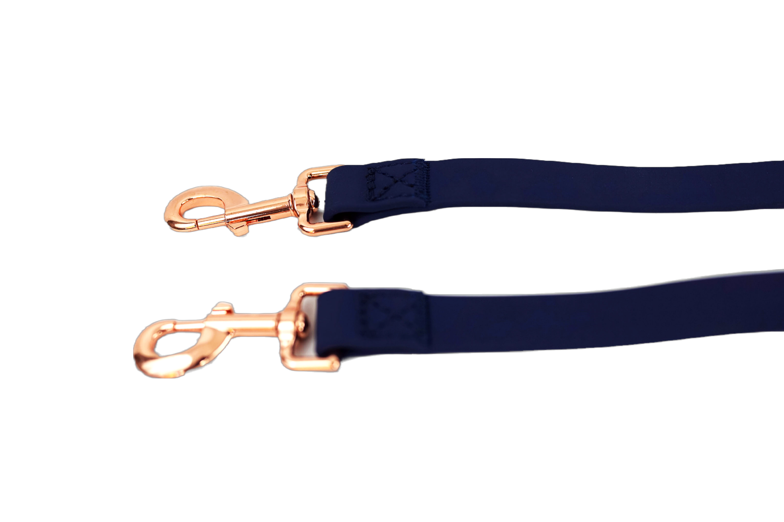 Puppibles Premium Indigo Dog Leash