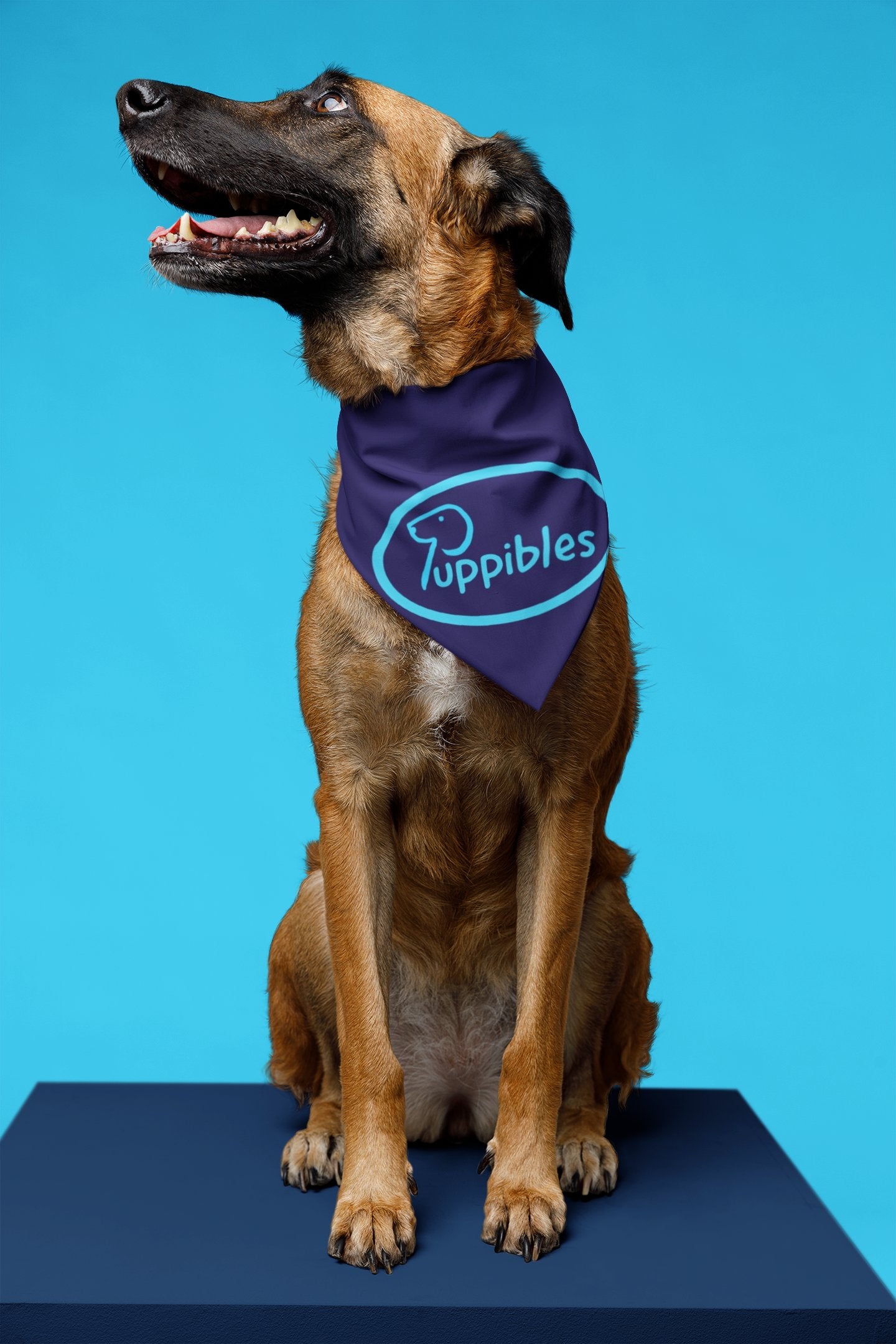 Dog wearing bandana with Puppibles logo printed on it