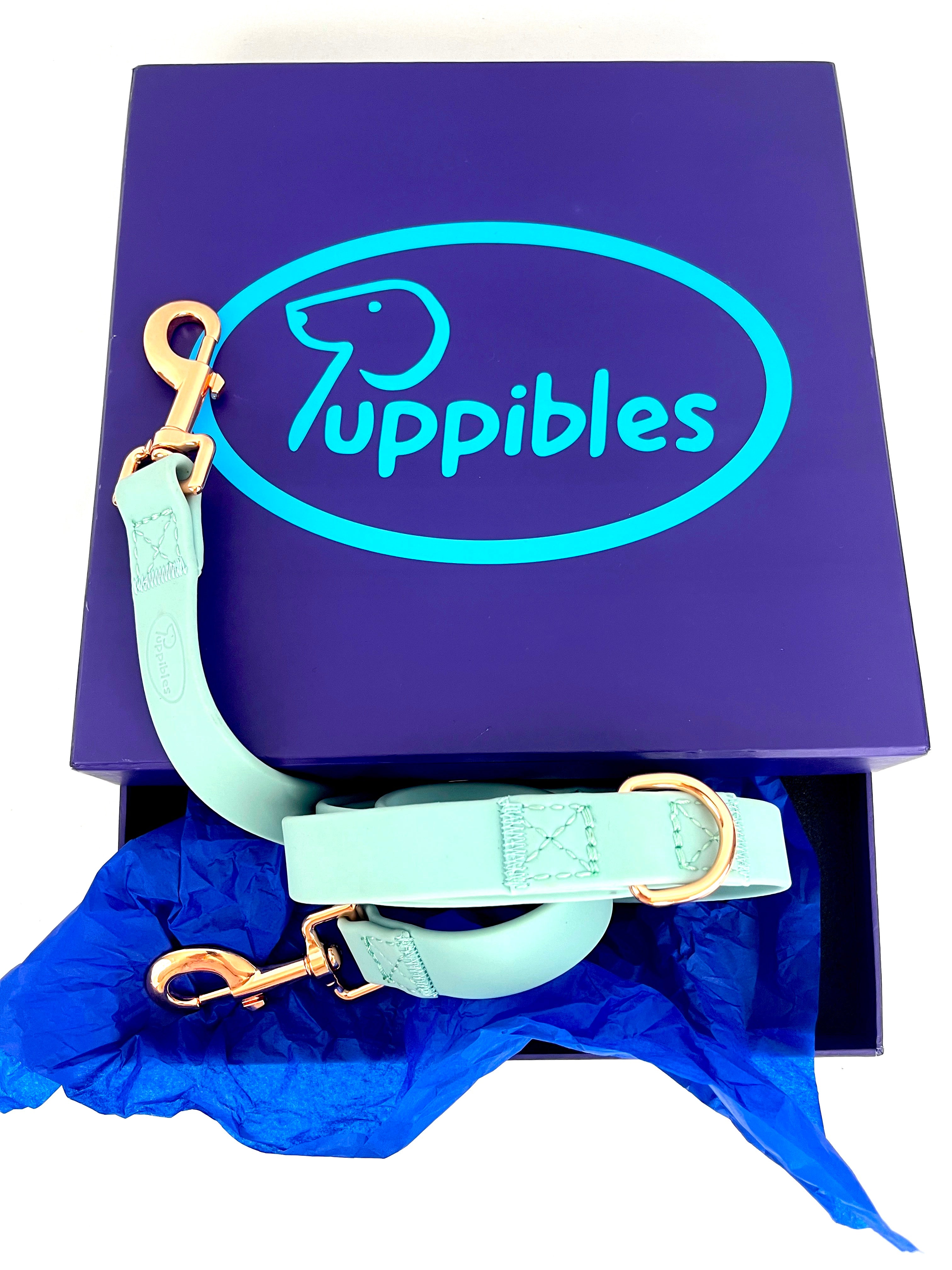 Puppibles Premium Aqua Dog Leash