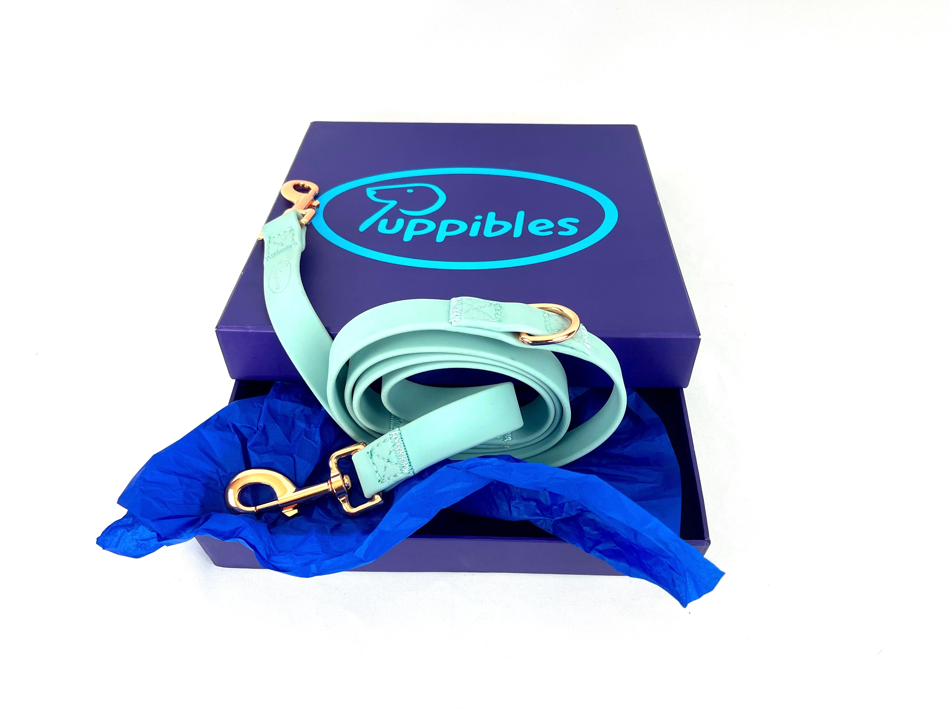 Puppibles Premium Aqua Dog Leash