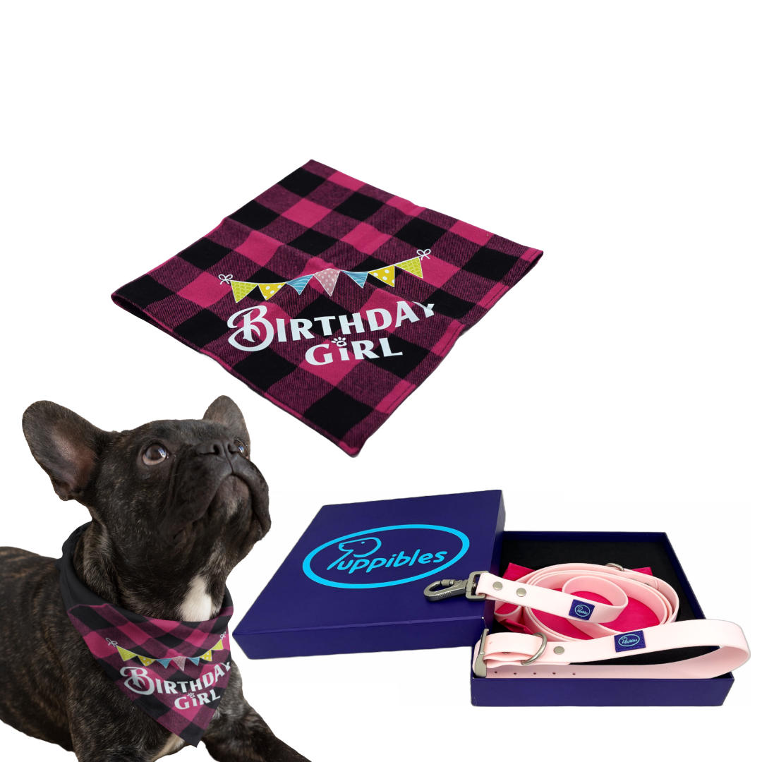 Puppibles Pink Birthday Bandana and Waterproof Collar and Leash Bundle