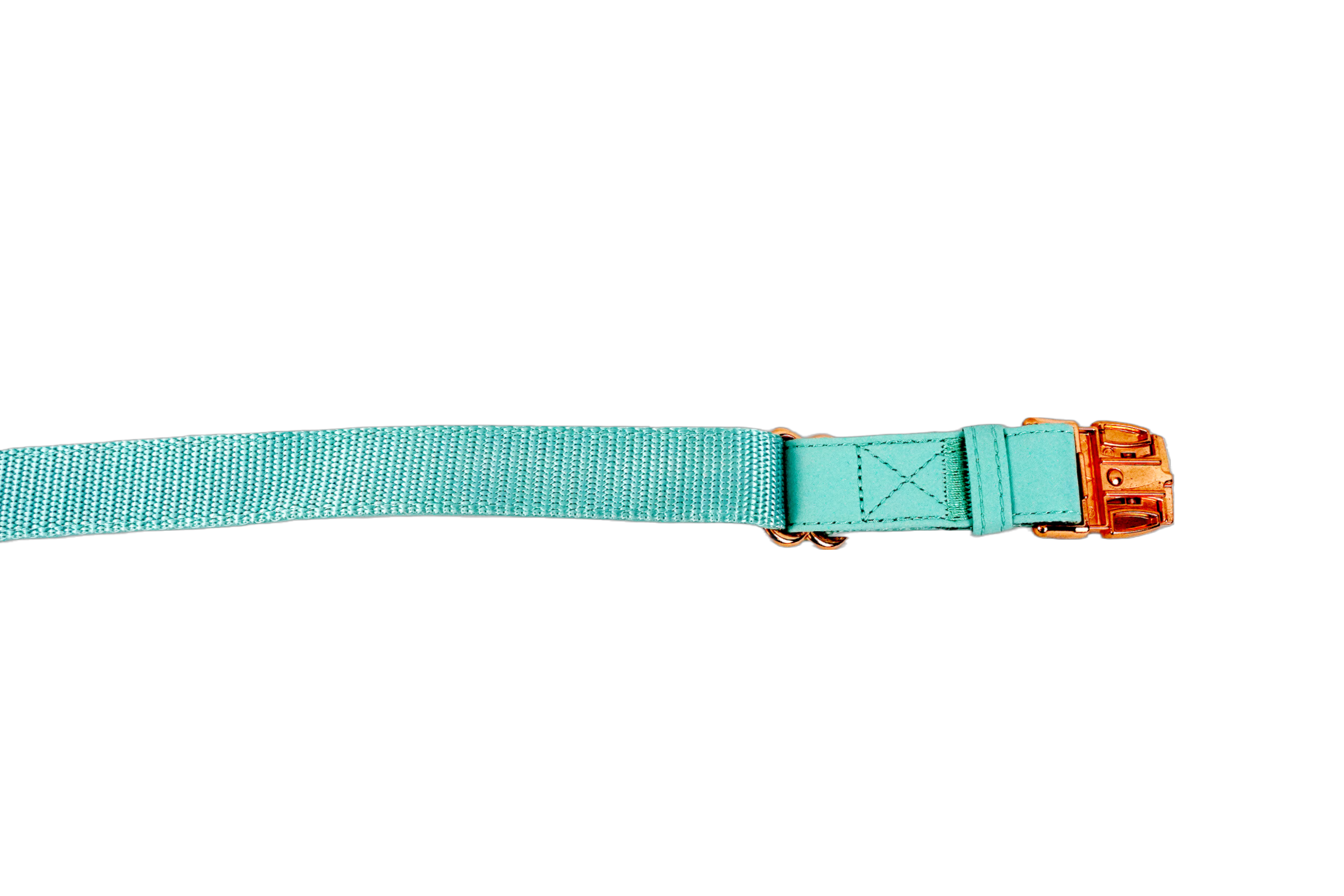 Puppibles Premium Vegan Leather Aqua Dog Collar