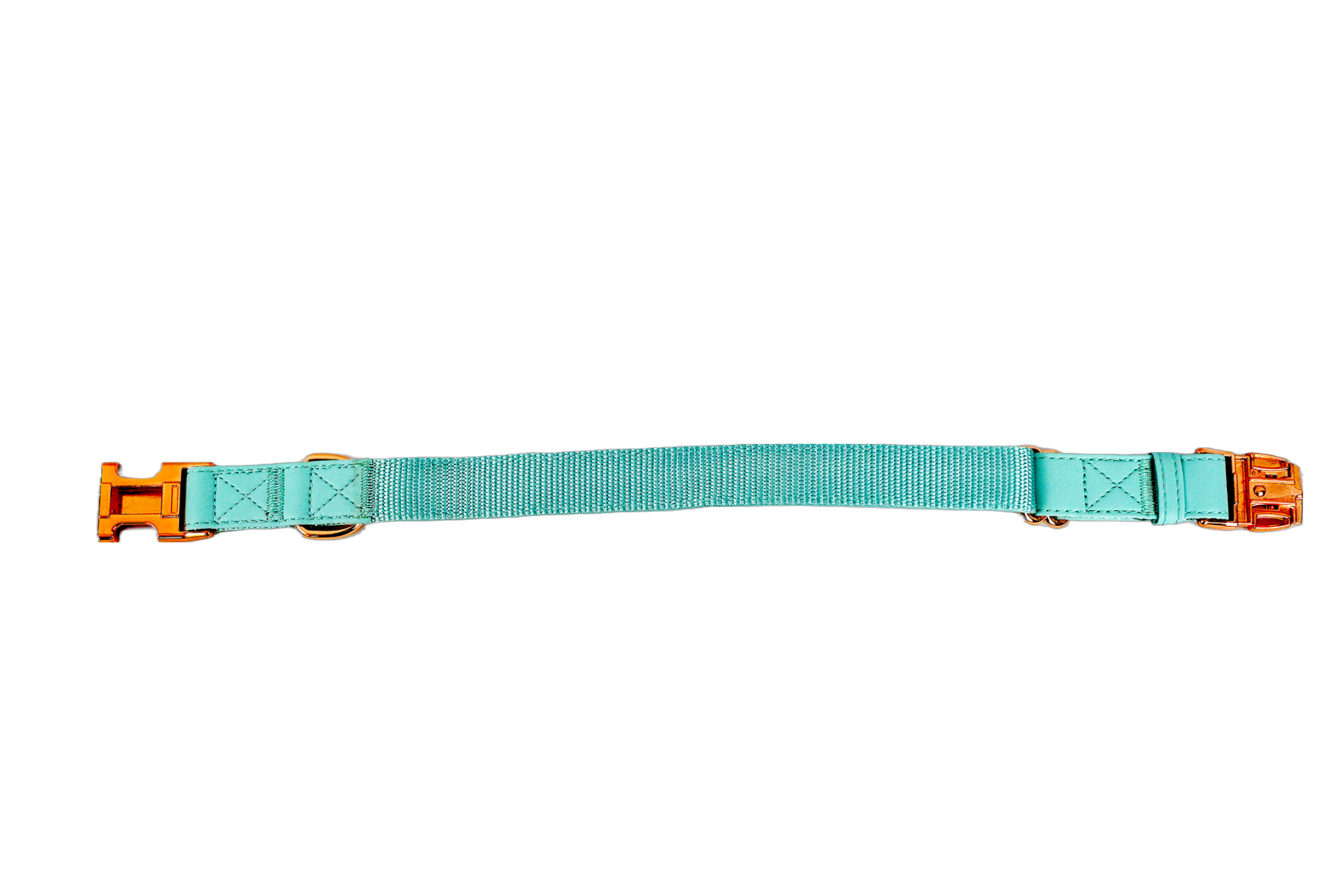 Puppibles Premium Vegan Leather Aqua Dog Collar