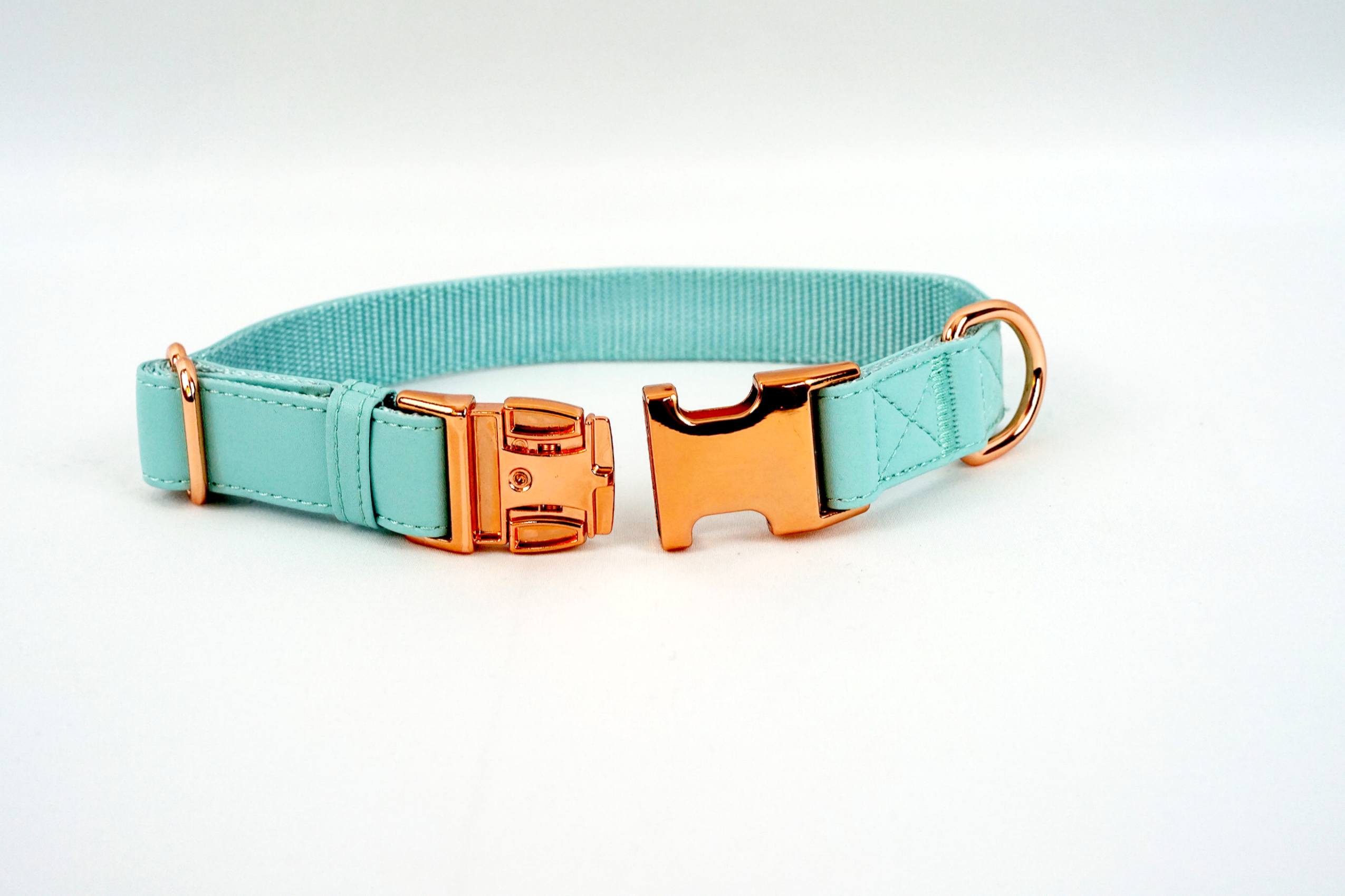 Limited Edition Leash and Collar Set