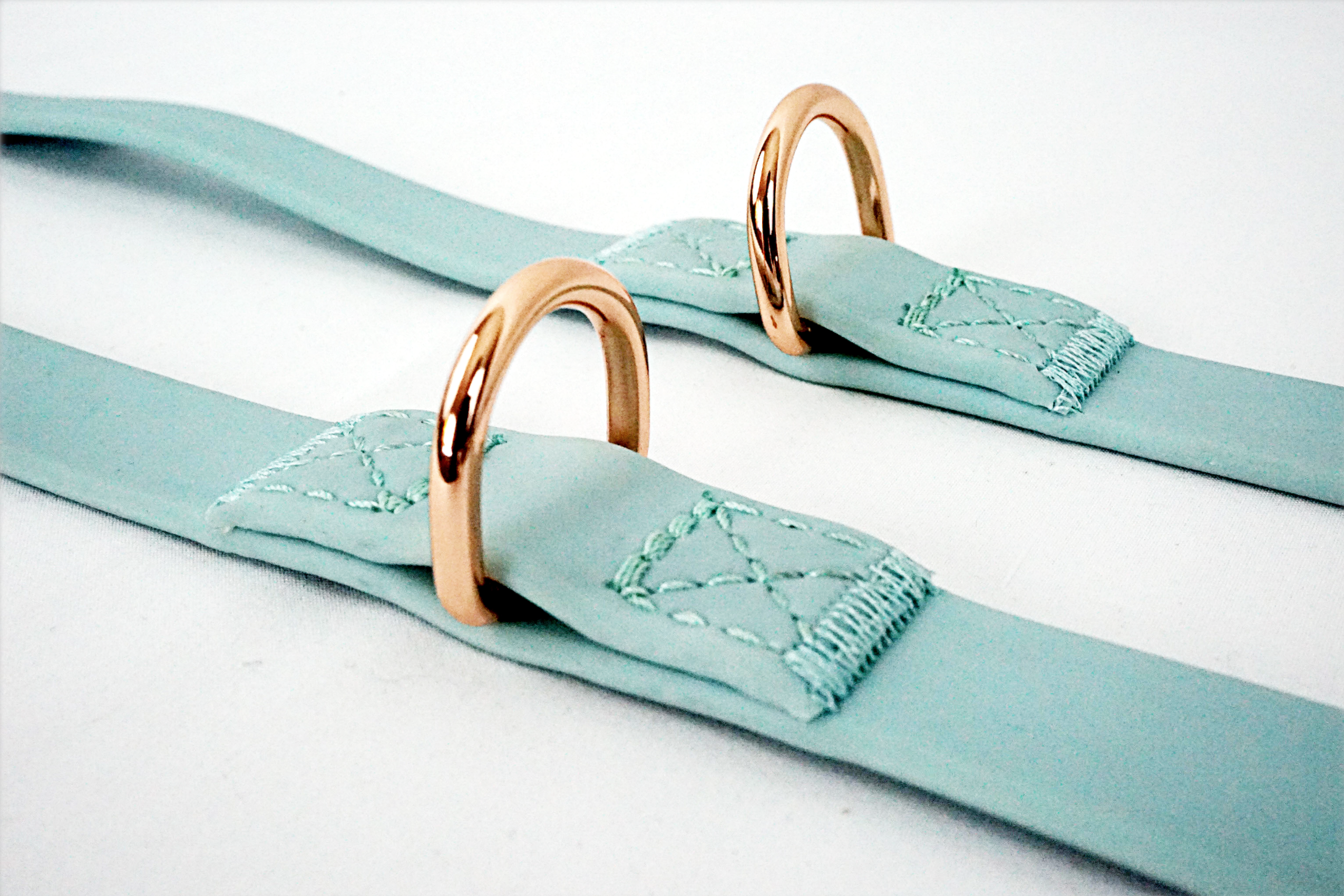 Limited Edition Leash and Collar Set