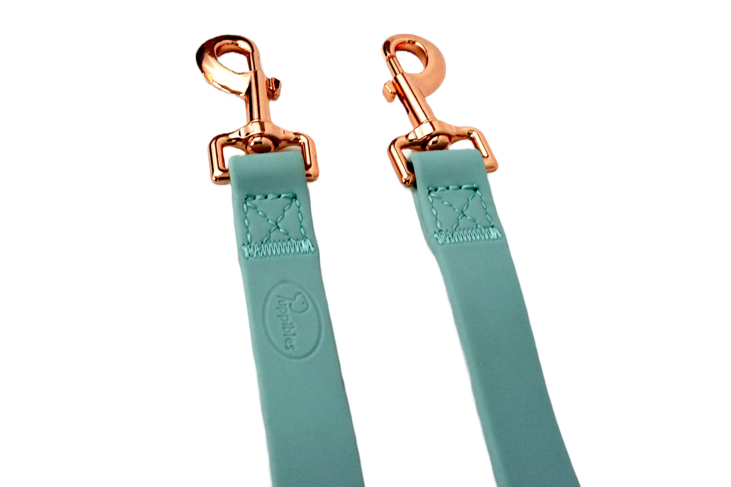 Puppibles Premium Aqua Dog Leash