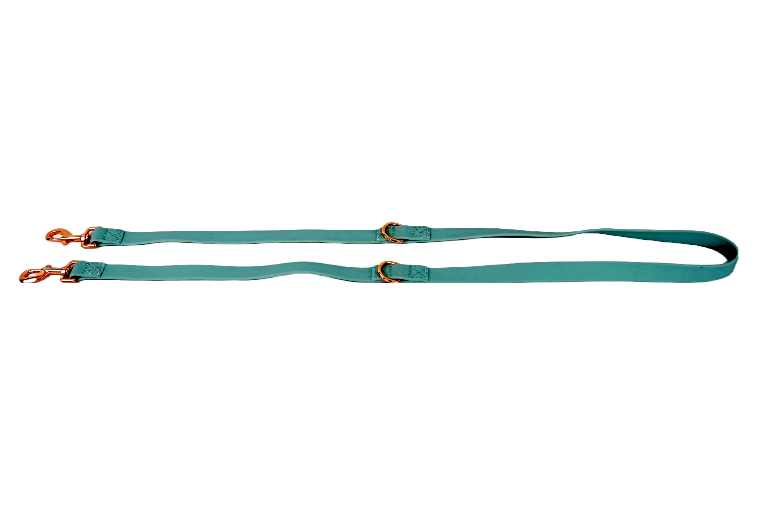 Puppibles Premium Aqua Dog Leash