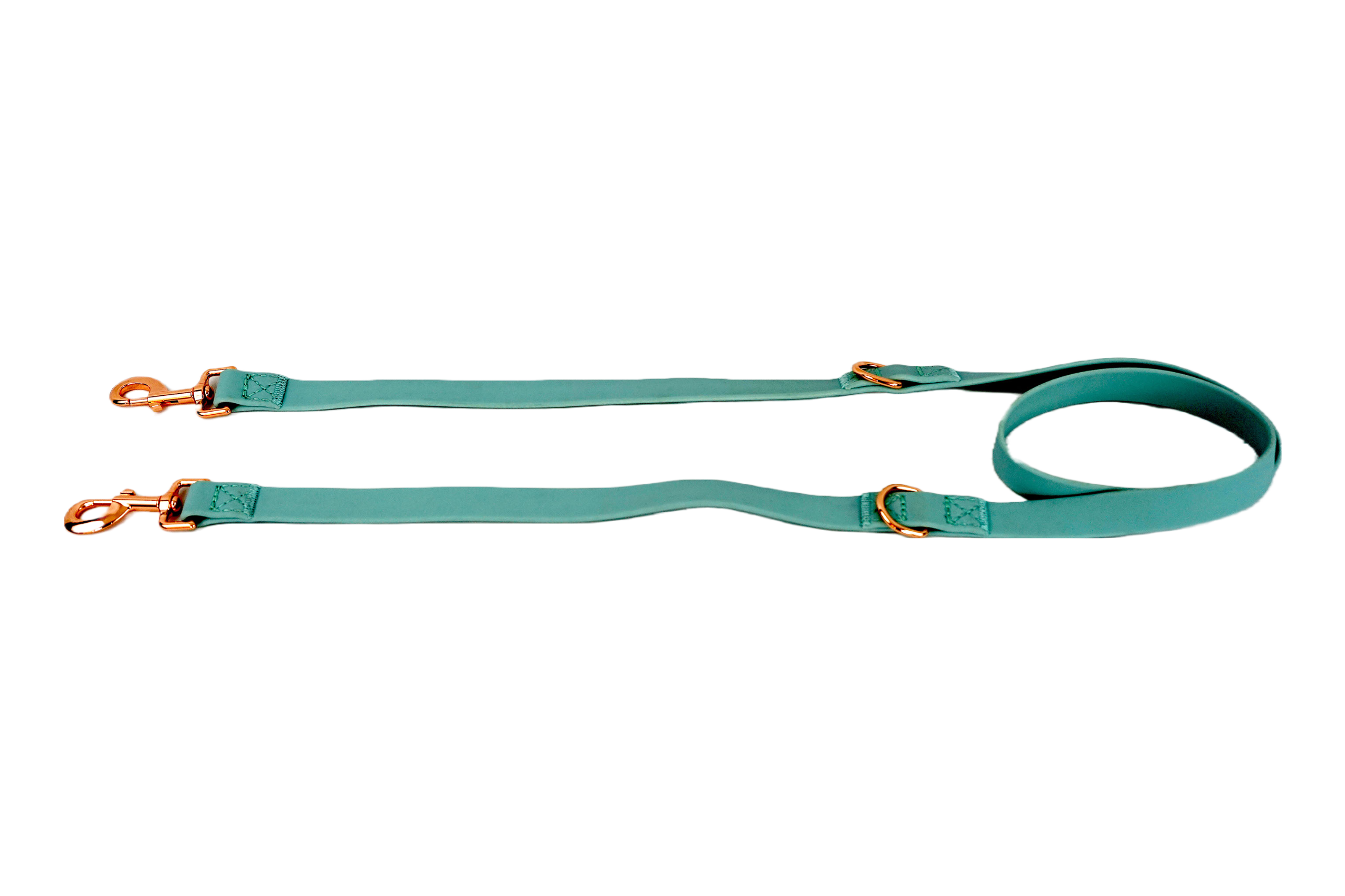 Puppibles Premium Aqua Dog Leash