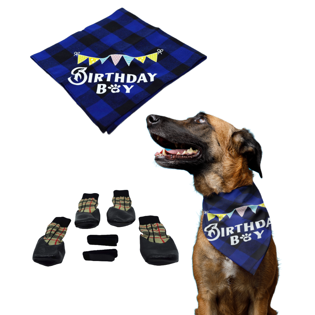 Puppibles Shoes and Blue Color Birthday Boy Bandana Bundle