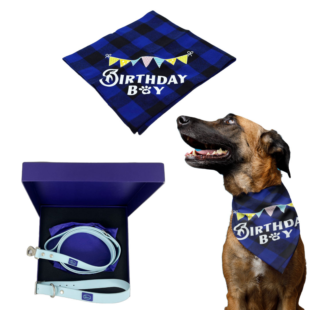 Puppibles Blue Birthday Bandana and Waterproof Collar and Leash Bundle