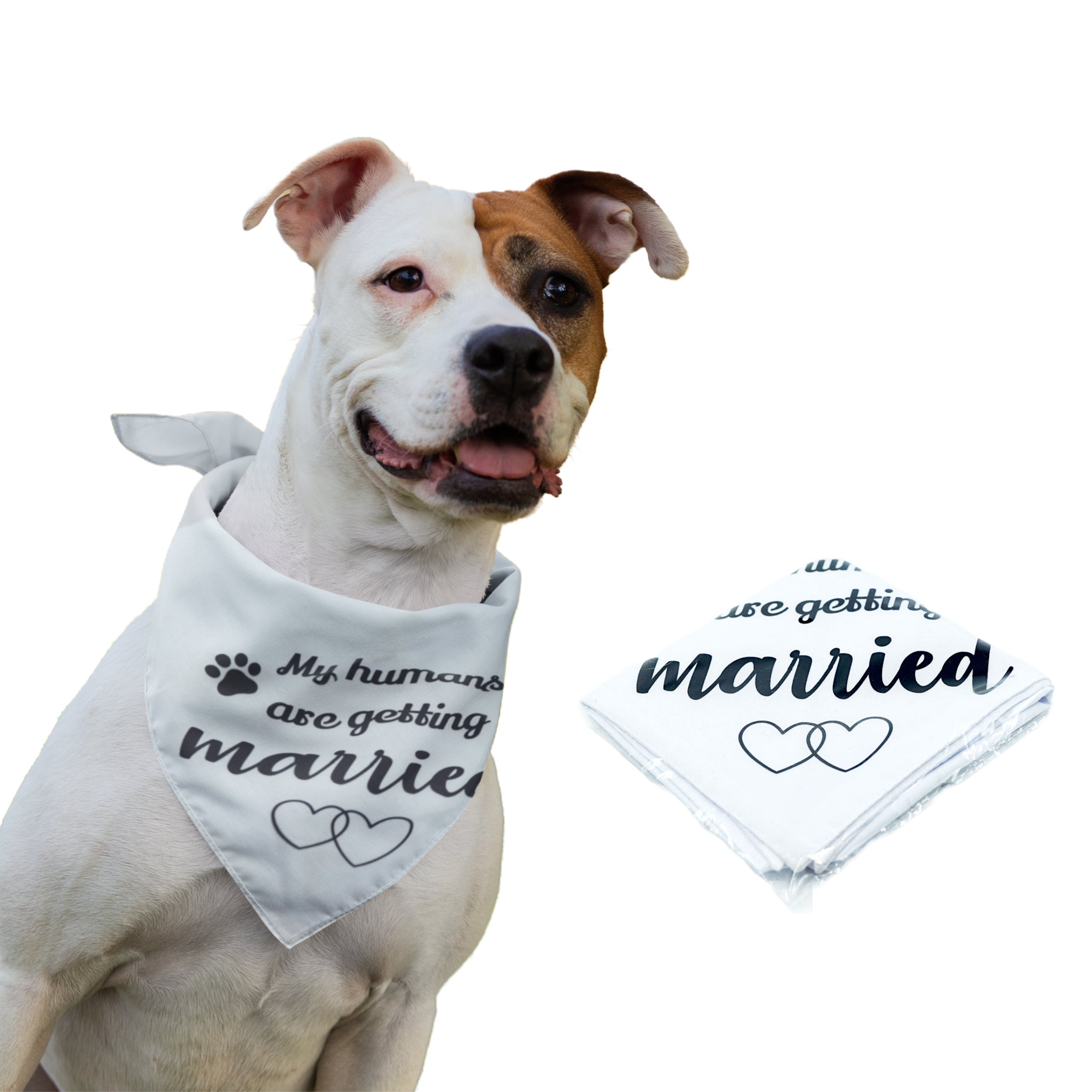 Puppibles Getting Married Pet Bandana