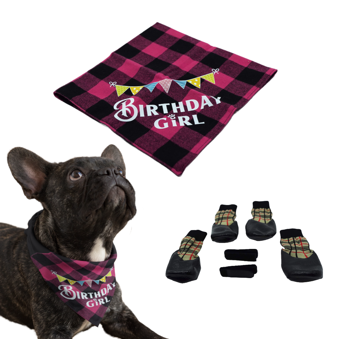 Puppibles Shoes and Pink Color Birthday Boy Bandana Bundle