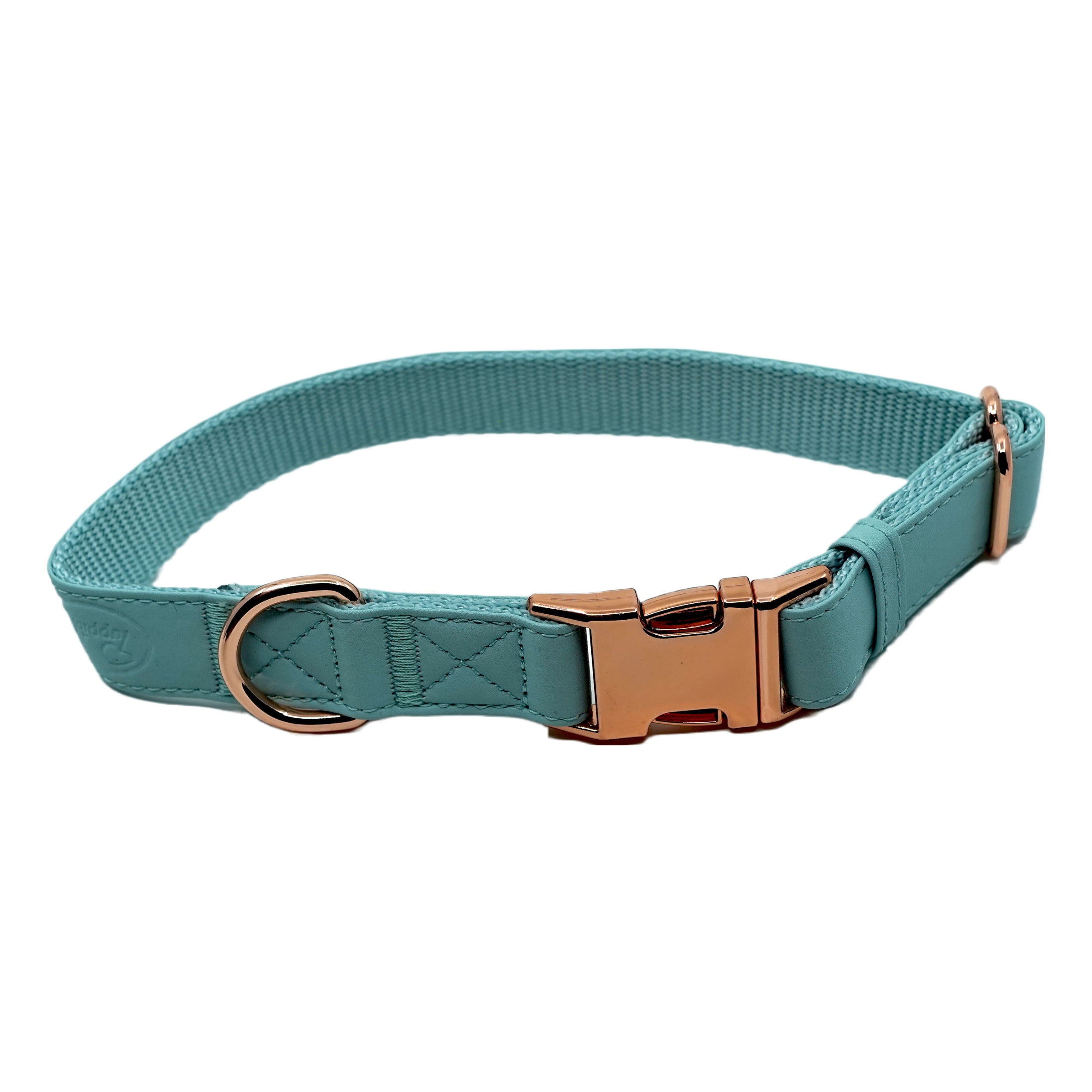 Limited Edition Leash and Collar Set