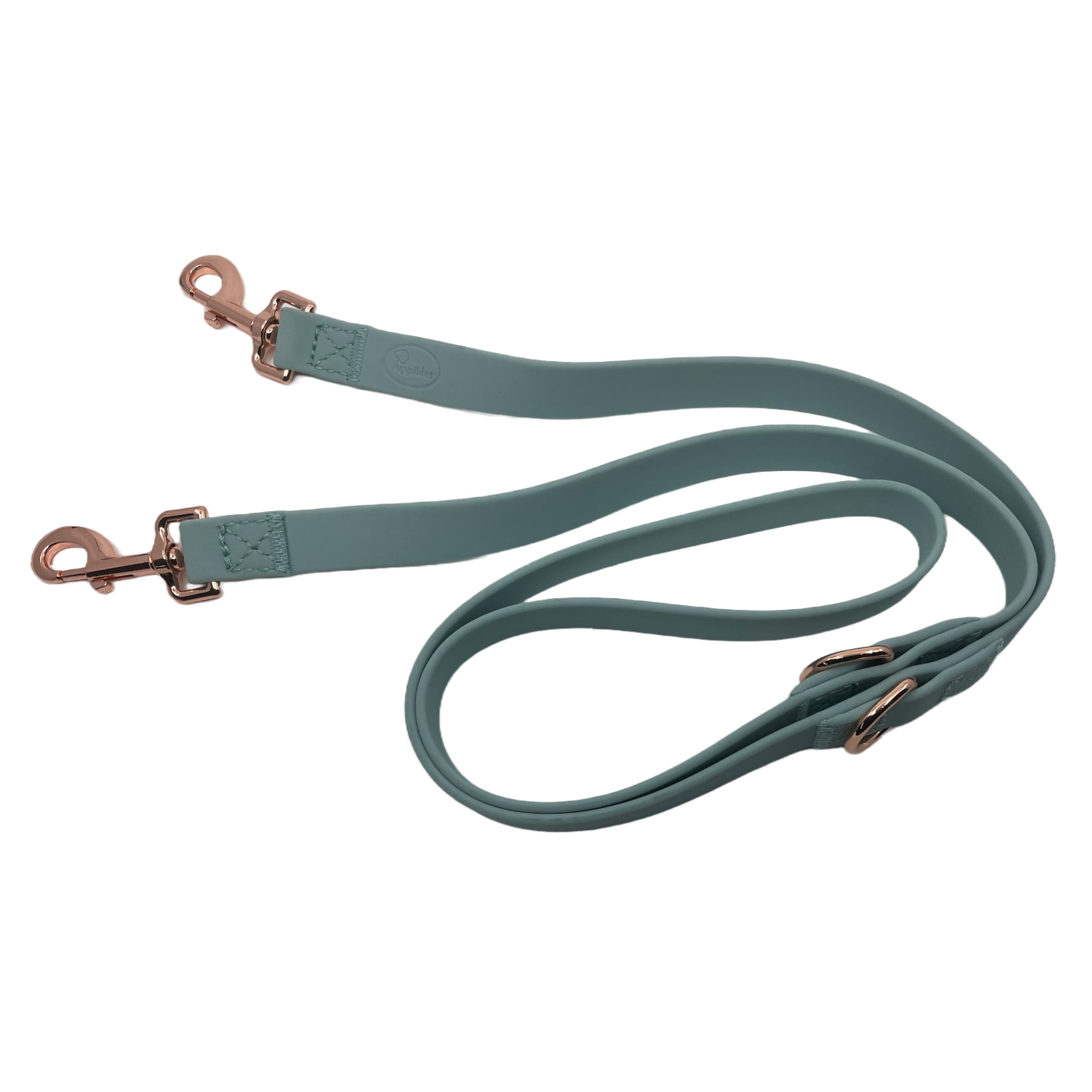 Puppibles Premium Aqua Dog Leash