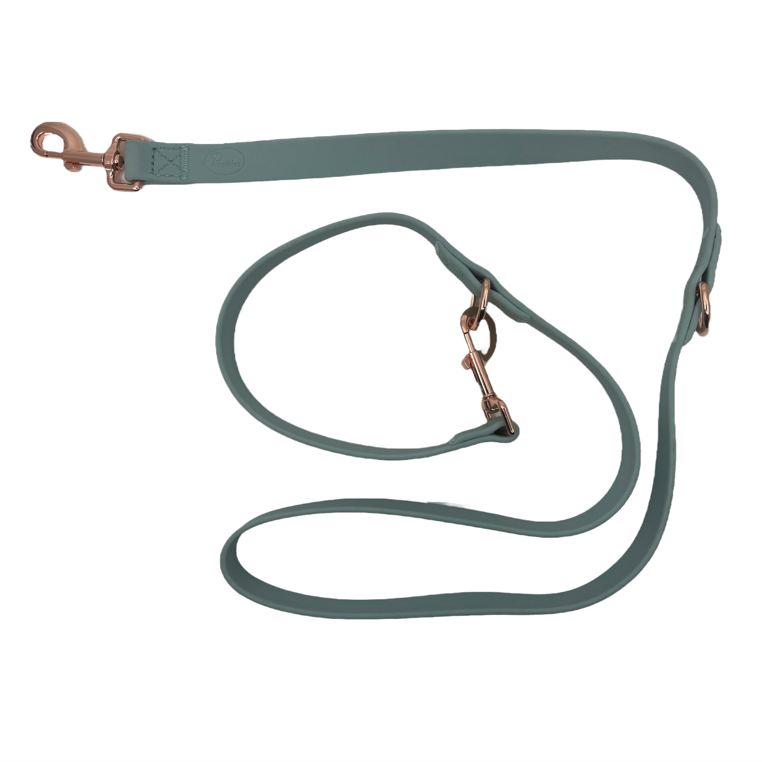 Puppibles Premium Aqua Dog Leash