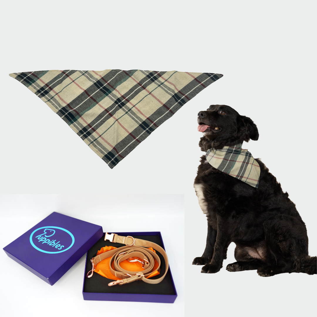 Puppibles Tan Leash Collar and Bandana Bundle